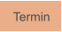 Termin